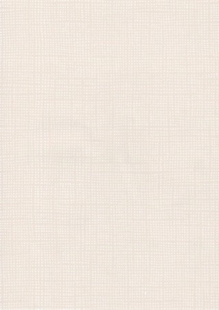P & R Aavikko, beige papperstapet