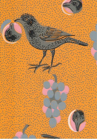 P & R Ken Kiuruista Kaunein 64675, Orange
