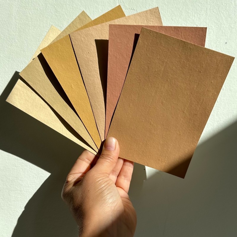 Savella Färgprov-Set