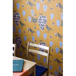 P & R Ken Kiuruista Kaunein 64675, Oranssi